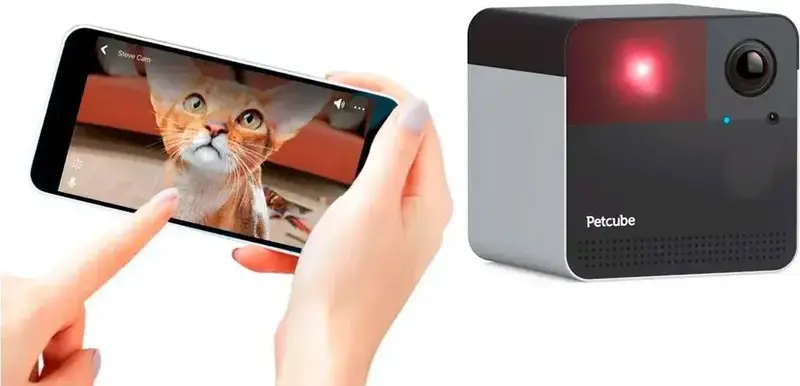 IP камера PETCUBE PP20US - фото - №4