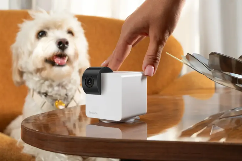 IP камера PETCUBE P36010US - фото - №5