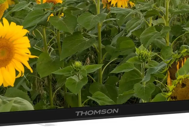 Телевізор Thomson 32HA2S13 - фото - №3