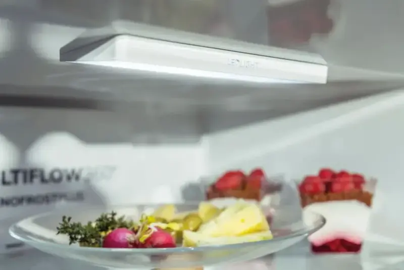 Холодильник Gorenje RK58DPS4 - фото - №4