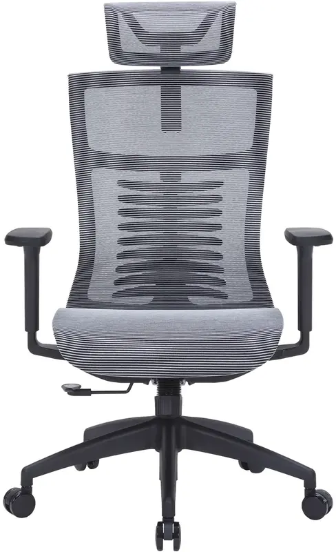 Кресло офисное Officepro Balance OC620-B-DG-DG Black/Dark Gray - фото - №0