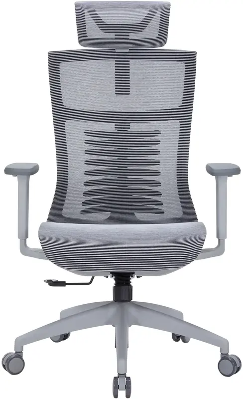 Крісло офісне Officepro Balance OC620-G-DG-DG Gray/Dark Gray - фото - №0