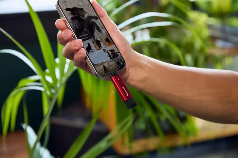 Зовнiшнiй SSD Kingston Dual Portable 512GB (SPSD/512GB) USB 3.2 Gen 2 Type-C/Type-A - фото - №17