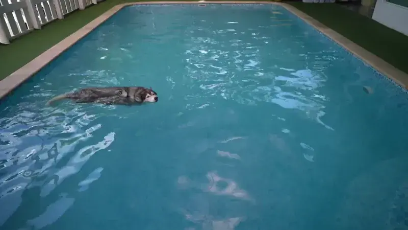 Зовнішня Wi-Fi камера Tapo C411 KIT TP-LINK - фото - №7