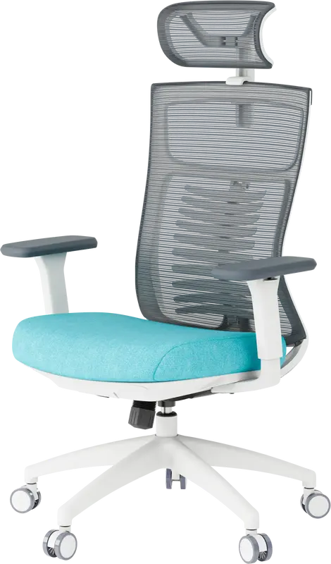 Крісло офісне Officepro Balance OC550-W-DG-BL White/Dark Gray/Blue - фото - №0