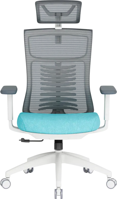 Крісло офісне Officepro Balance OC550-W-DG-BL White/Dark Gray/Blue - фото - №1