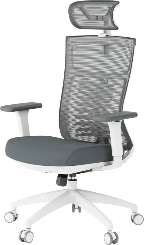 Крісло офісне Officepro Balance OC550-W-DG-DG White/Dark Gray - фото - №0