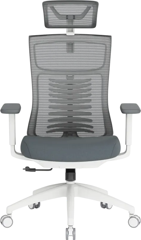 Крісло офісне Officepro Balance OC550-W-DG-DG White/Dark Gray - фото - №1