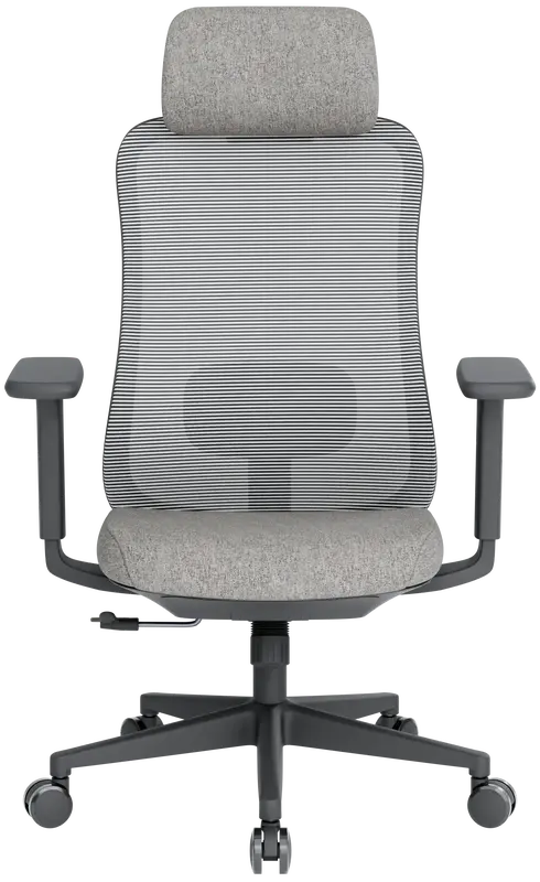 Крісло офісне Officepro Wave OC599-B-DG-DG Black/Dark Gray - фото - №1