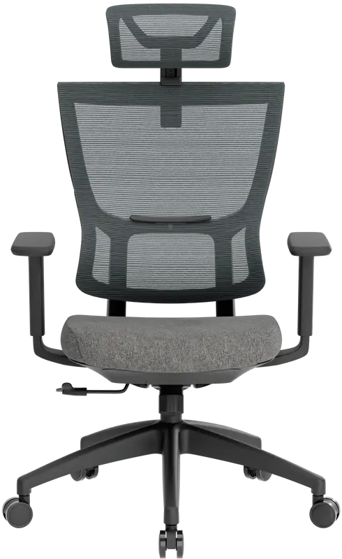 Крісло офісне Officepro Elegant OC600-B-DG-DG Black/Dark Gray - фото - №1