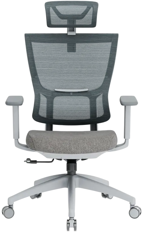 Крісло офісне Officepro Elegant OC600-G-DG-DG Gray/Dark Gray - фото - №1