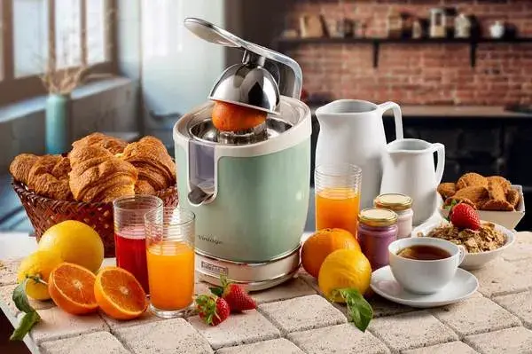 Соковитискач ARIETE 413 GR - фото - №4