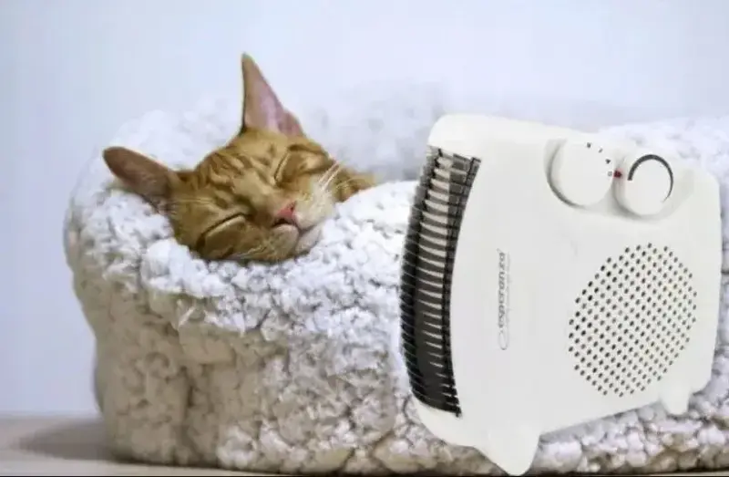 Тепловентилятор Esperanza EHH004 - фото - №3