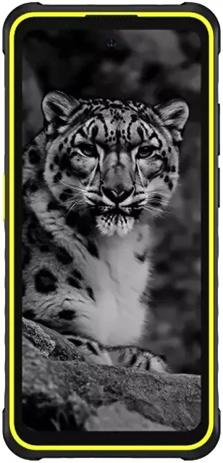 Ulefone Armor X31 6/128GB Black-Green (6975326660099) - фото - №1