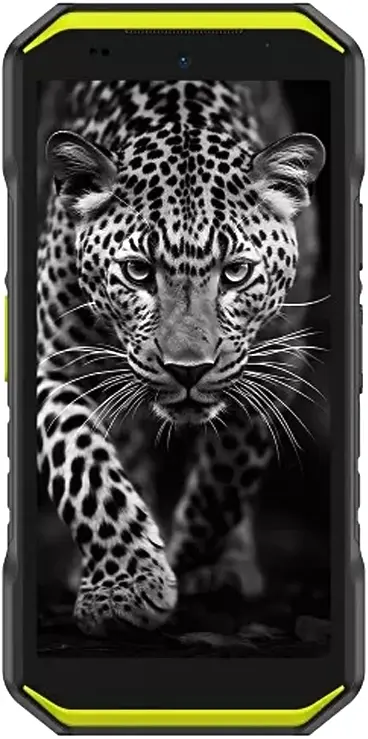 Ulefone Armor X32 6/128GB Black-Green (6975326662390) - фото - №1