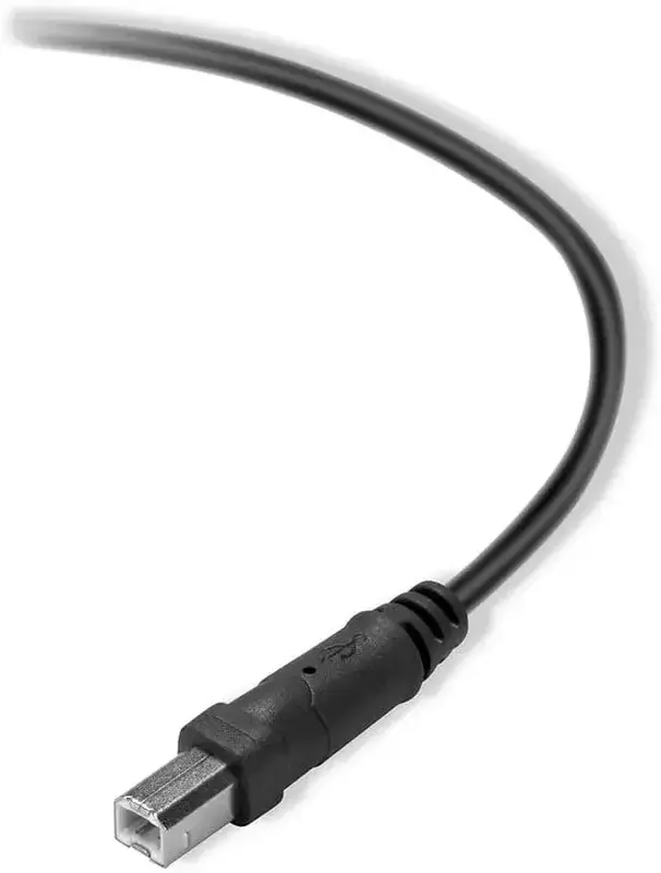 Кабель USB-A to USB-B (AM/BM) Belkin 3м чорний - фото - №3