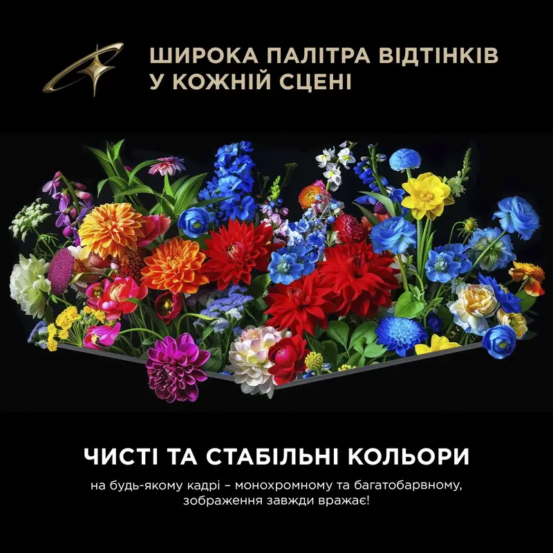 Телевизор TCL 65C8L - фото - №10