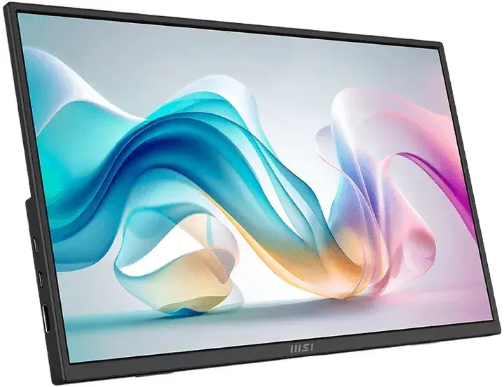 Монитор MSI 15,6" PRO MP165 E6 - фото - №1