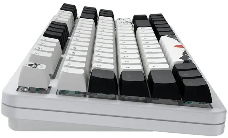 Игровая клавиатура DARK PROJECT 87 Fuji V2 ENG/UA