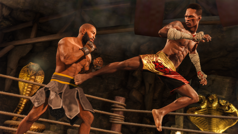 Диск EA UFC 4 (Blu-ray) для PS4 фото