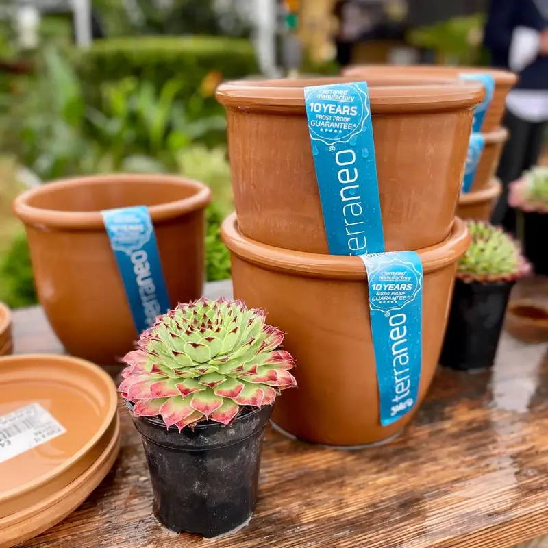 Вазон TERRANEO Carpi 32x26 cм (700065) - фото - №7