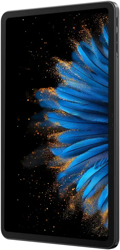 Blackview Mega 2 SET LTE 12" 6/256GB (Gray) - фото - №3