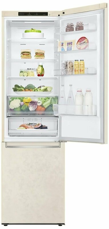Двухкамерный холодильник LG GW-B509SEJM фото
