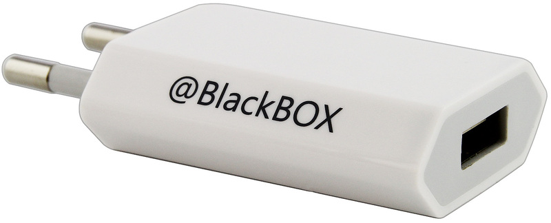 Универсальное сетевое ЗУ BlackBox (UTR2031) 1A (белый) фото