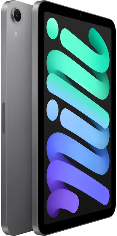 Apple iPad mini 8.3" 256GB Wi-Fi Space Grey (MXNA3) 2024 - фото - №2