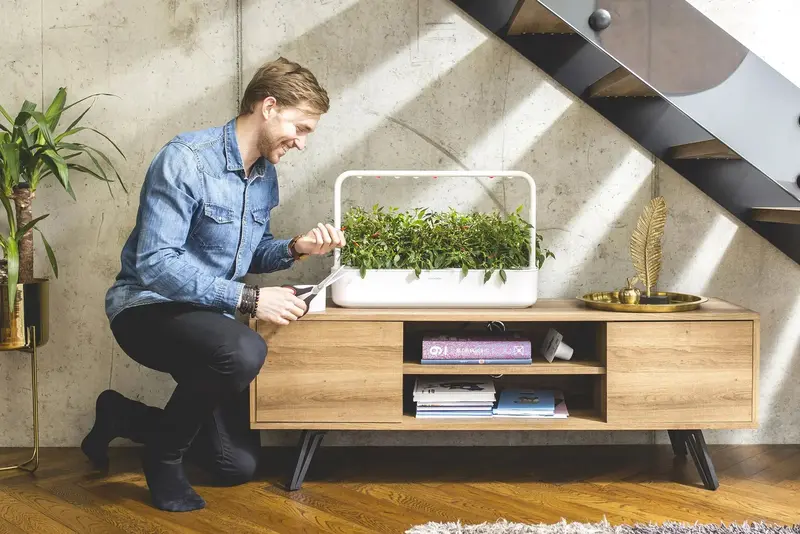 Стартовий набір Click and Grow сірий 8899 SG9 - фото - №9