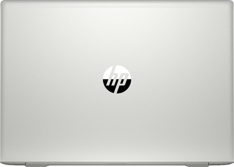 Ноутбук HP ProBook 455 G7 Pike Silver (7JN02AV_V15) фото