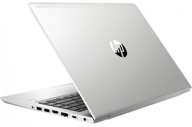 Ноутбук HP ProBook 445 G7 Pike Silver (1F3L1EA) - фото - №3