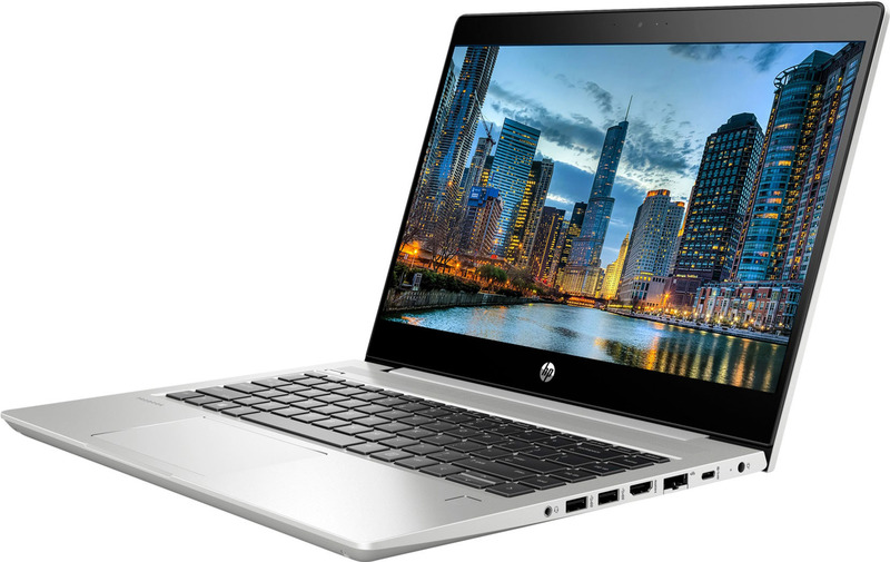 Ноутбук HP ProBook 445R G6 Pike Silver (7HW15AV_V3) - фото - №1