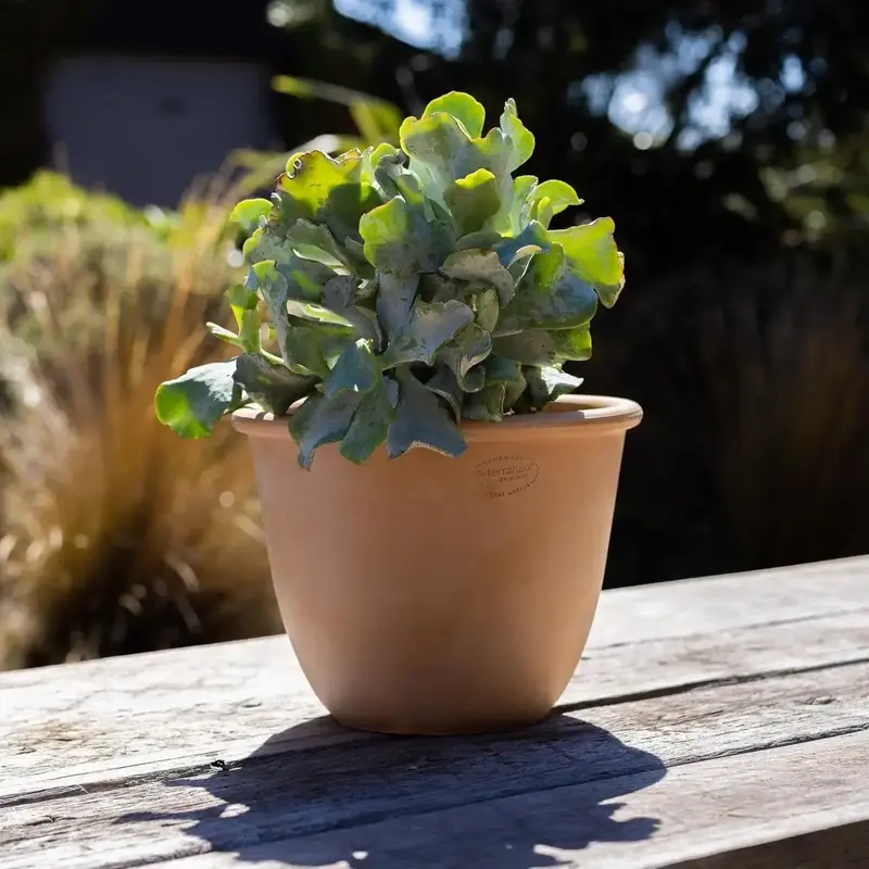 Вазон TERRANEO Carpi 32x26 cм (700065) - фото - №3