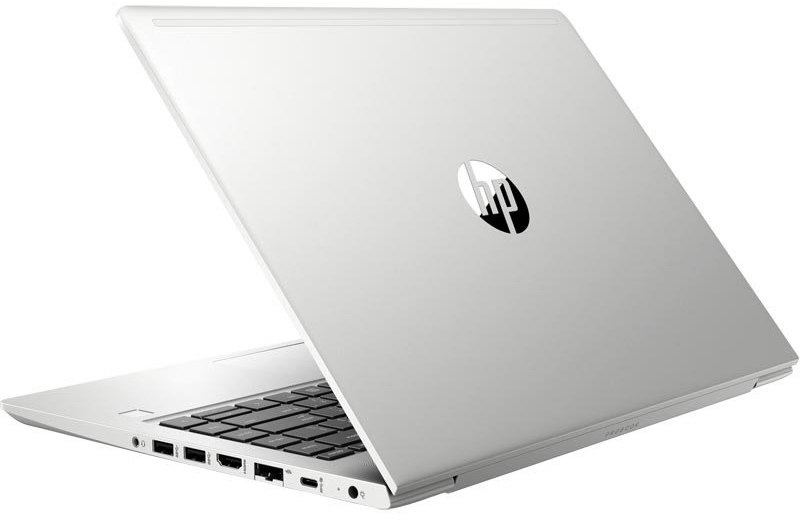 Ноутбук HP ProBook 445 G7 Pike Silver (7RX17AV_V2) - фото - №3