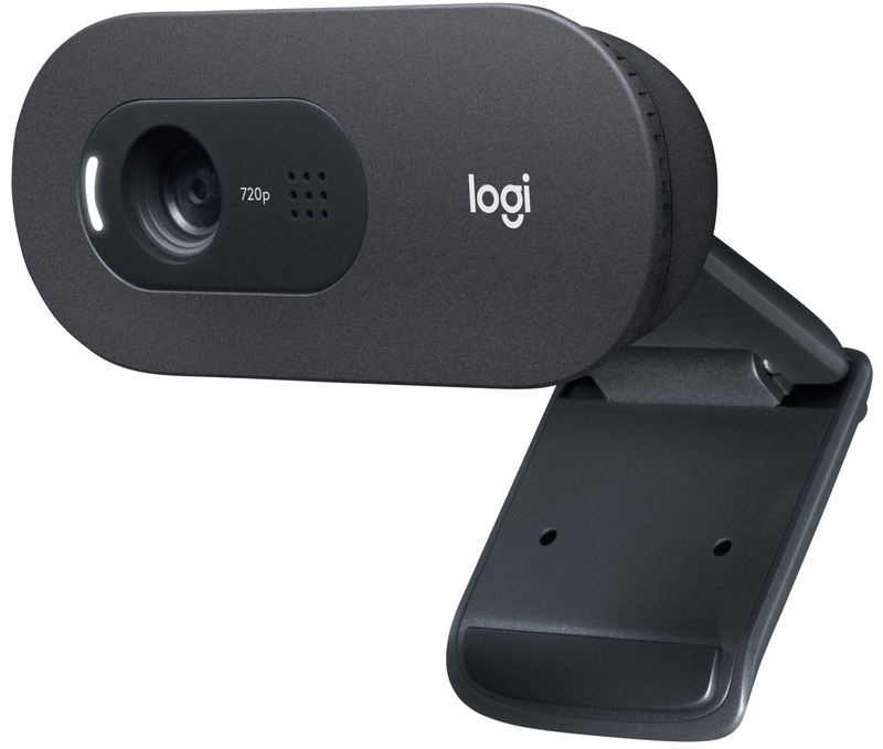 Веб-камера Logitech HD Webcam C505 (960-001364) фото