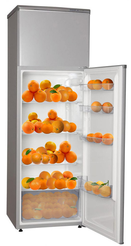 Холодильник Snaige FR27SM-S2MP0G фото