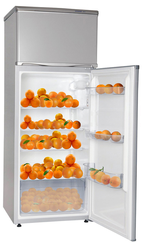 Холодильник Snaige FR24SM-S2MP0F фото