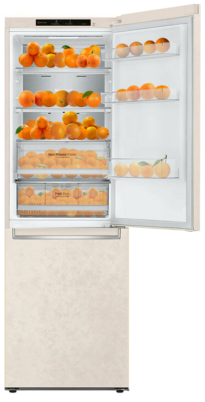 Двокамерний холодильник LG GA-B459SERM фото