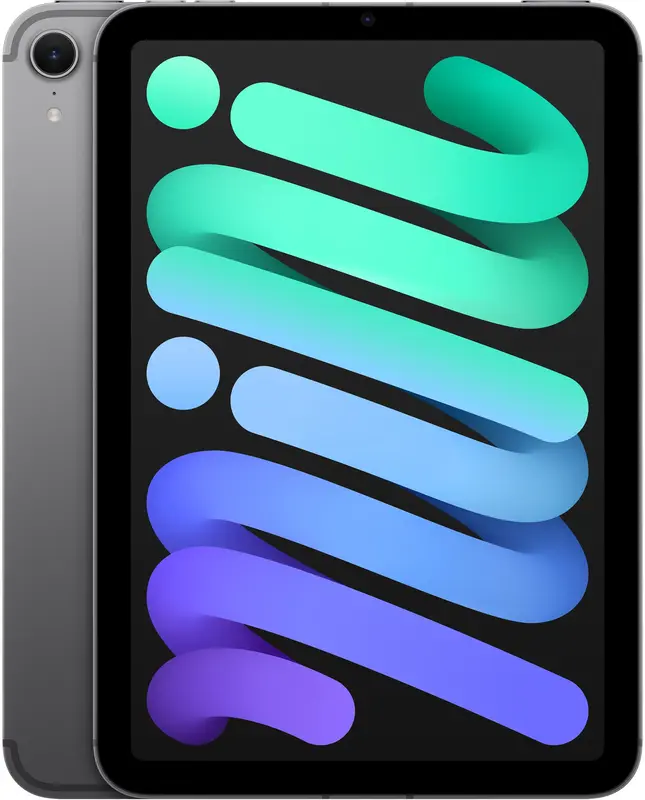 Apple iPad mini 8.3" 256GB+5G Space Grey (MXPT3) 2024 - фото - №0