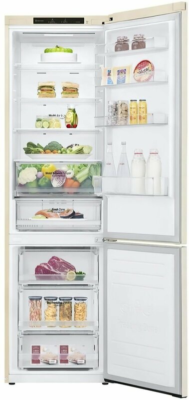 Двокамерний холодильник LG GW-B509SEJM фото