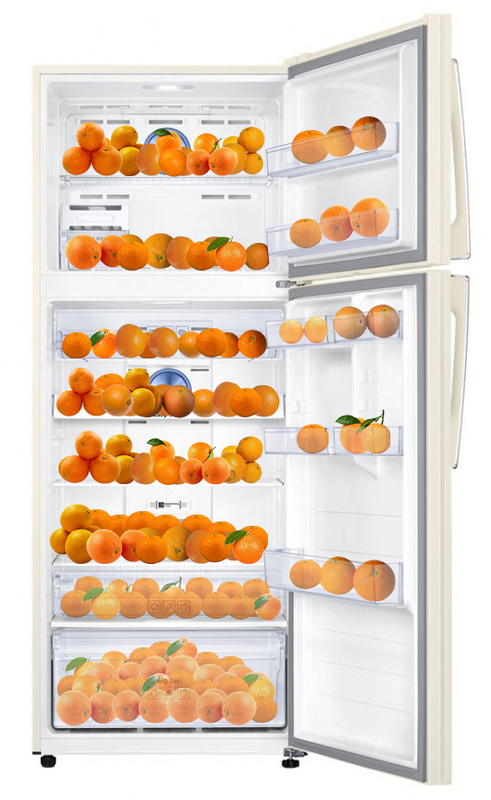 Холодильник Samsung RT46K6340EF / UA - фото - №0