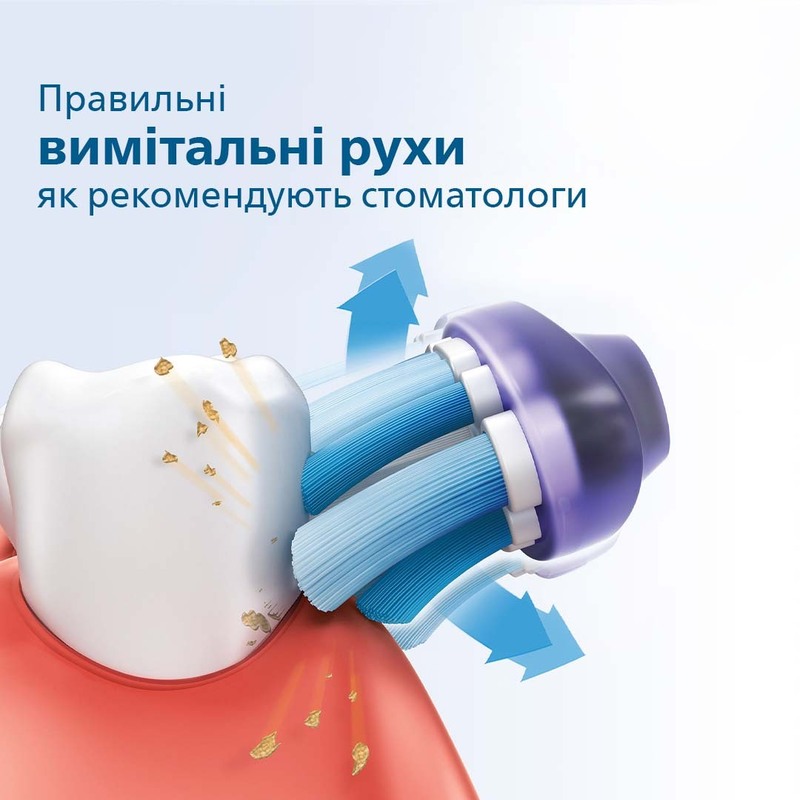 Електрична зубна щітка PHILIPS 2100 Series HX3651/13 фото