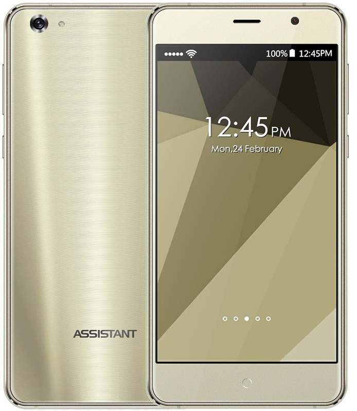 Assistant AS-5435 1/16GB (Gold) - фото - №0