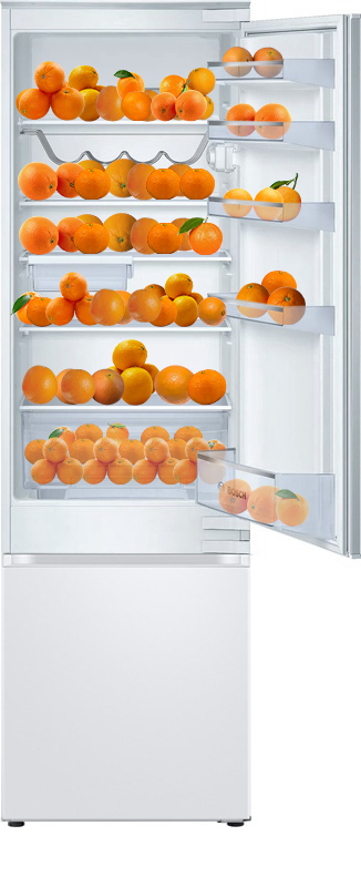 Двокамерний холодильник BOSCH KIV38X20 фото