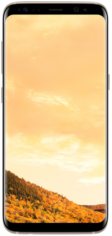 Samsung Galaxy S8 2017 G950F 4/64Gb Maple Gold (SM-G950FZDDSEK) фото