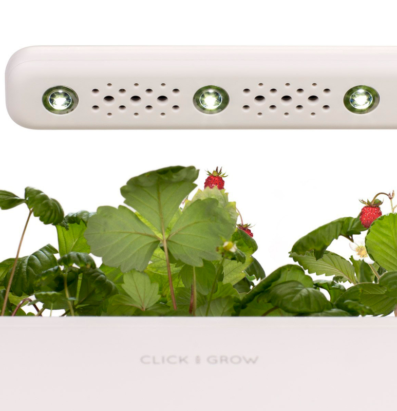 Умный цветочный горшок Click&Grow 3 (Grey) 7229 SG3 фото