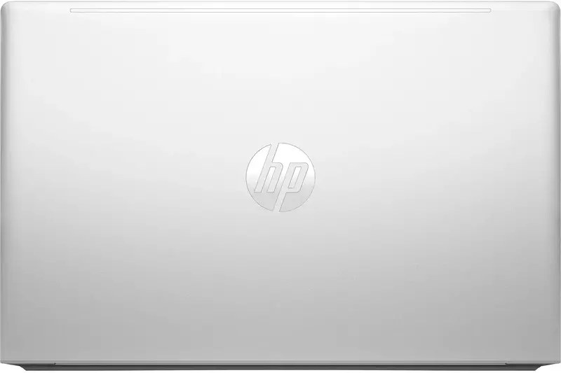 Ноутбук HP ProBook 455 G10 Pike Silver (719F9AV_V4) фото