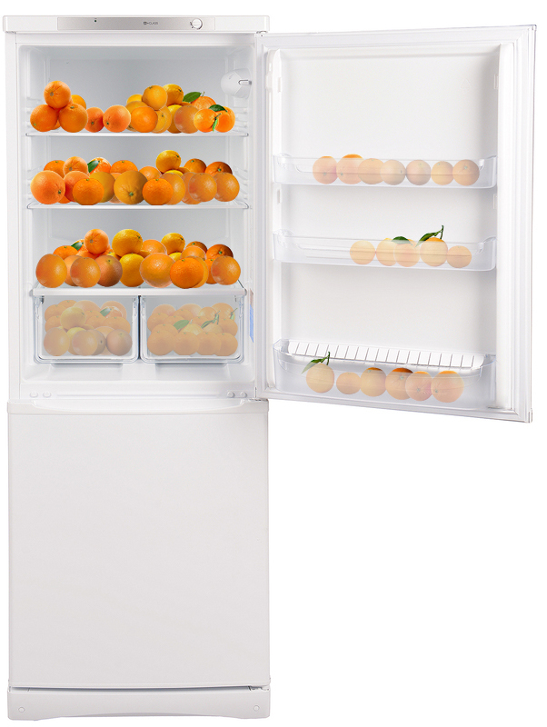 Холодильник Indesit IBS 16 AA (UA) - фото - №1