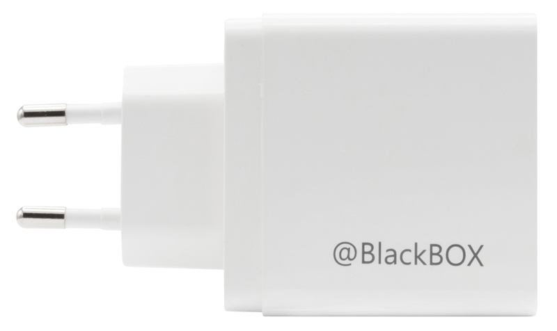 Универсальное сетевое ЗУ BlackBox USB&USB-C 36W (White) 2UTR3007-QP фото